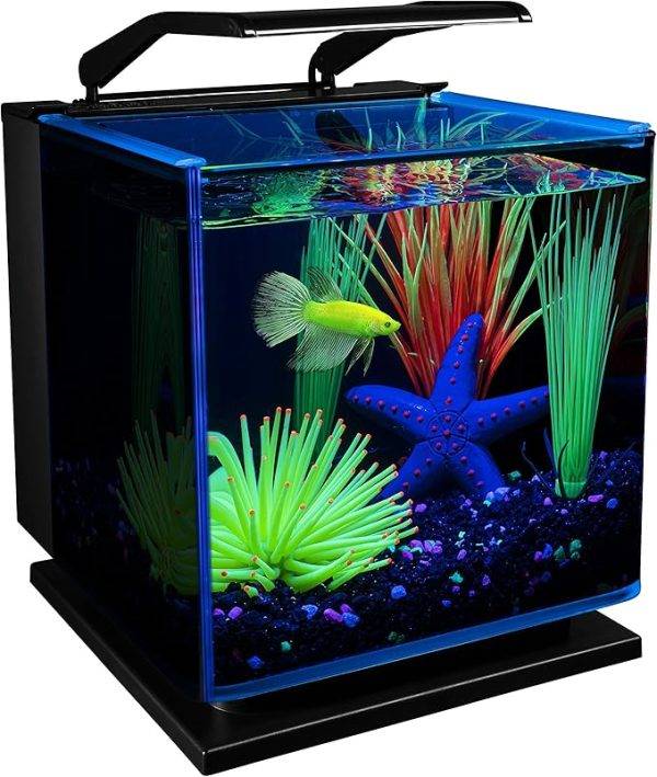 GloFish Betta Shadowbox Aquarium Kit
